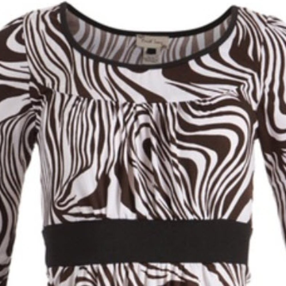 Earth Song Zebra Print Fit & Flare Dress - Picture 3 of 4
